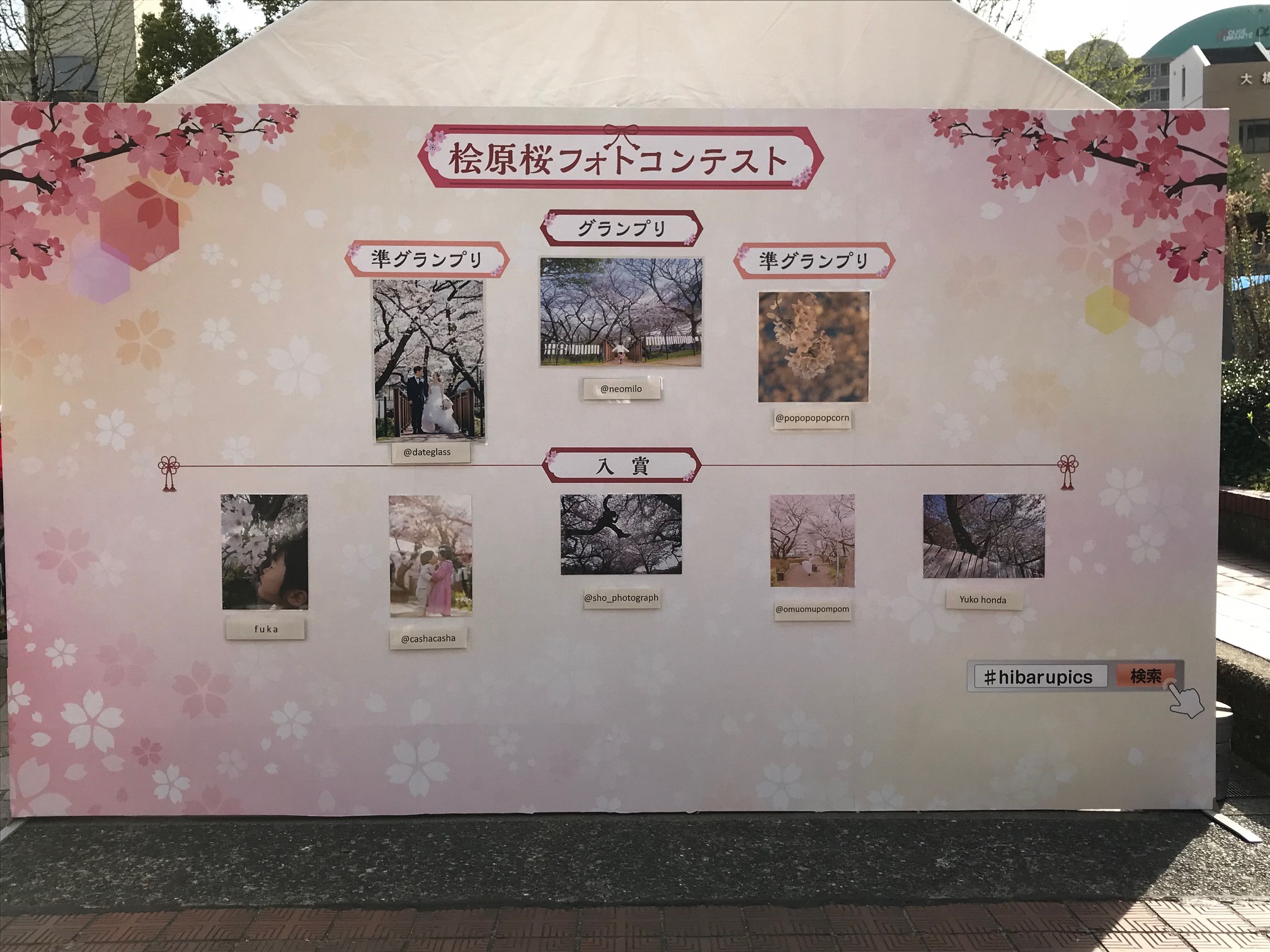 桧原桜フォトコンテストパネル展示