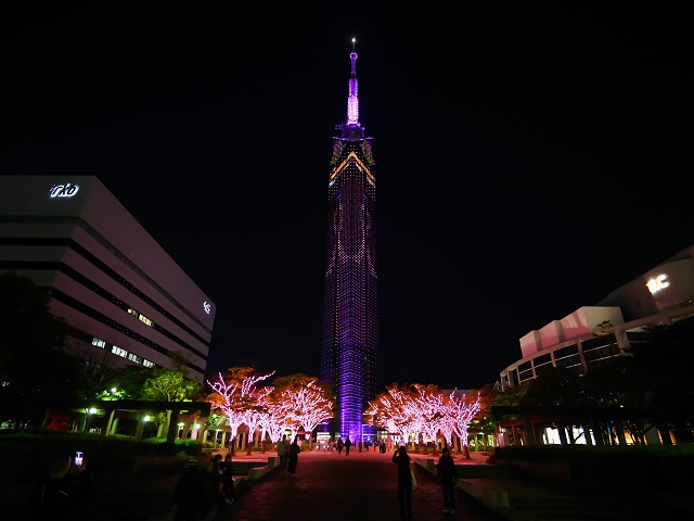 福岡タワーのピンクリボンイルミネーション（その4）