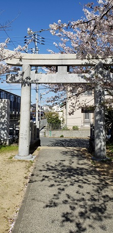 桜　渡津海神社