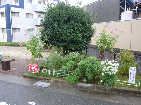 青葉東緑地花壇の写真