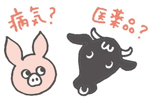 豚と牛のイラスト。