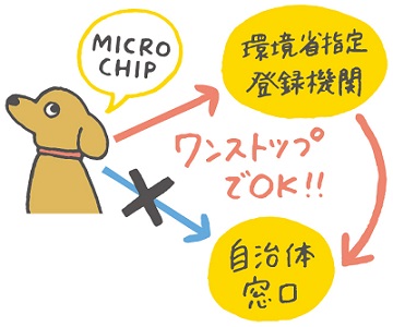 飼い犬にマイクロチップを装着したら犬の登録がワンストップでできることを表した図
