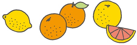 レモン、オレンジ、グレープフルーツのイラスト