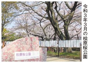 令和3年3月の桧原桜公園の写真