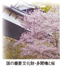 国の重要文化財・多聞櫓と桜の写真