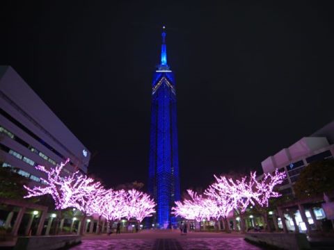 タワーのふもとには桜をイメージしたピンクのイルミネーション