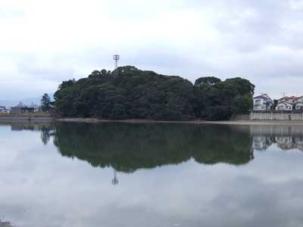 野多目大池に映る照天神社の森の画像