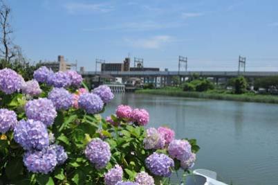塩原公民館から見た那珂川の画像