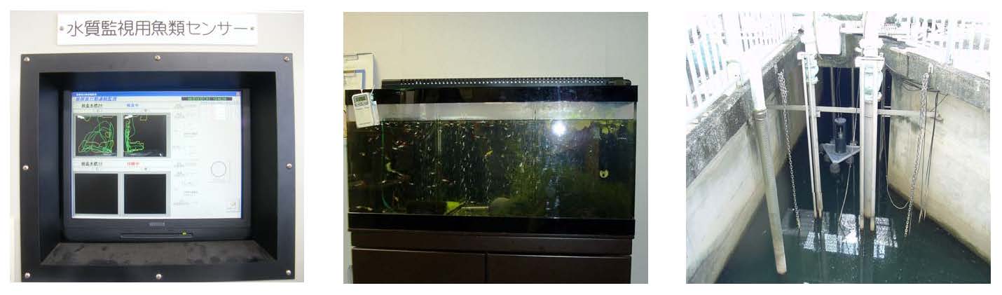 左の写真から魚を用いた監視装置の画面、魚の水槽、油を検知する装置の写真