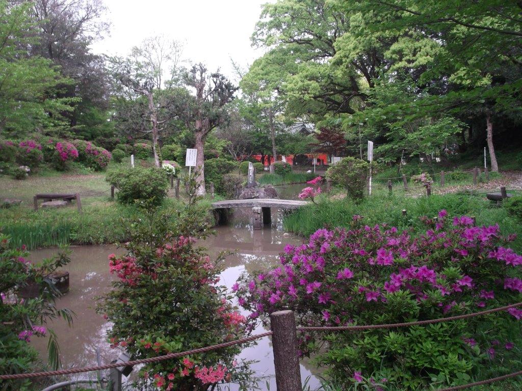 香椎宮亀の池の庭園のつつじの写真2