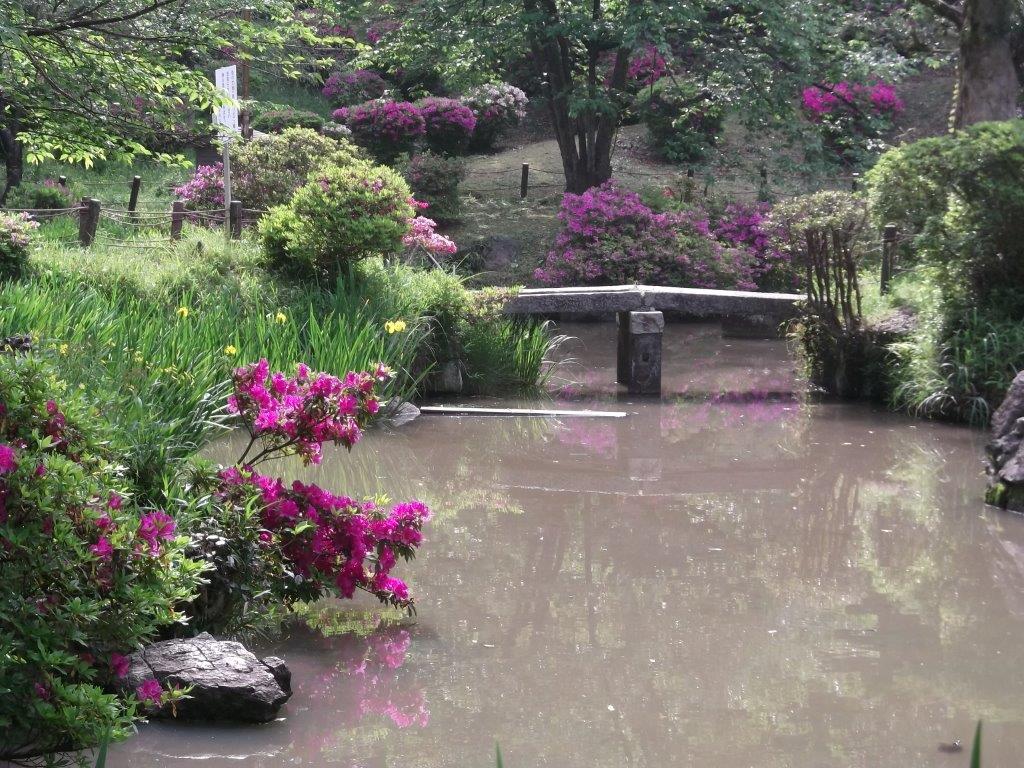香椎宮亀の池の庭園のつつじの写真4