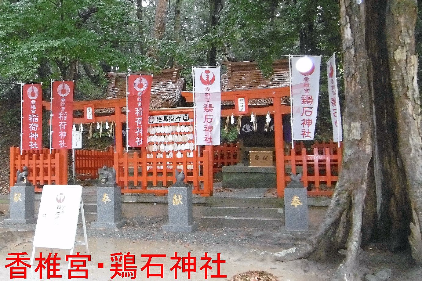 香椎宮・鶏石神社の写真