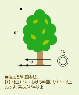指定基準（地上1.5メートルにおける幹回りが1.5メートル以上、または、高さが15メートル以上）