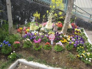 画像:中公園ガーデンクラブの花壇の写真3