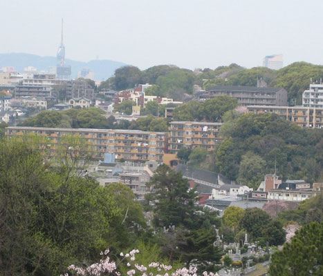 平尾霊園から望む福岡タワーの画像