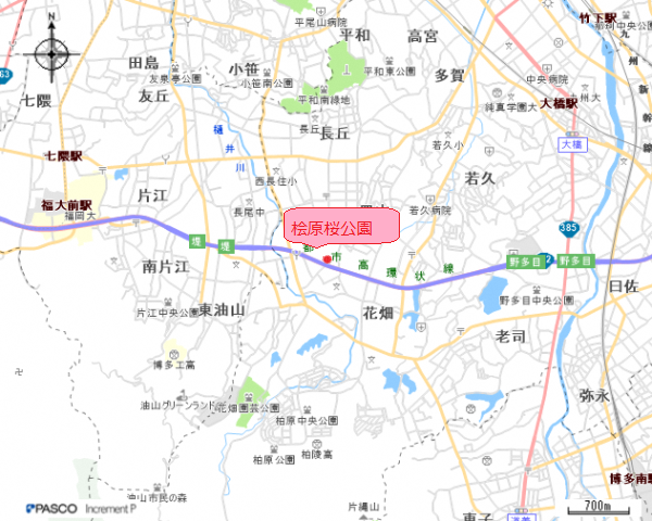 桧原桜公園地図１