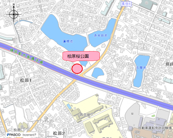 桧原桜公園地図(詳細)