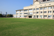 百道浜小学校運動場の芝生