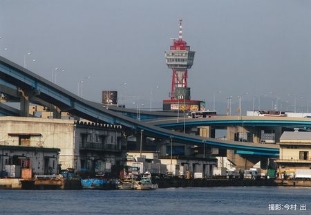 漁港とタワーの画像