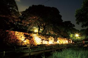 中央区城内福岡城石垣の写真