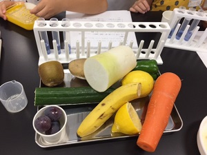実験に使う果物や野菜の写真