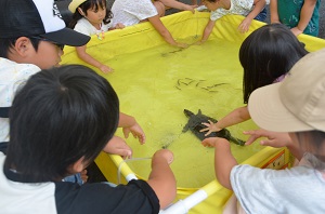 樋井川水族館の写真