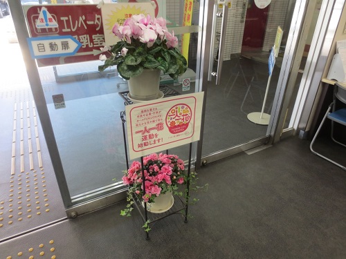区役所本館正面玄関のピンクの花の写真