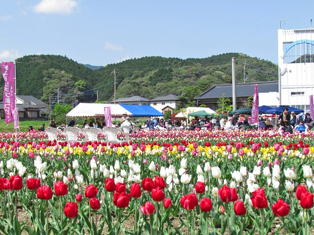 多くの人が集まっている手前で多くのチューリップが咲いている写真