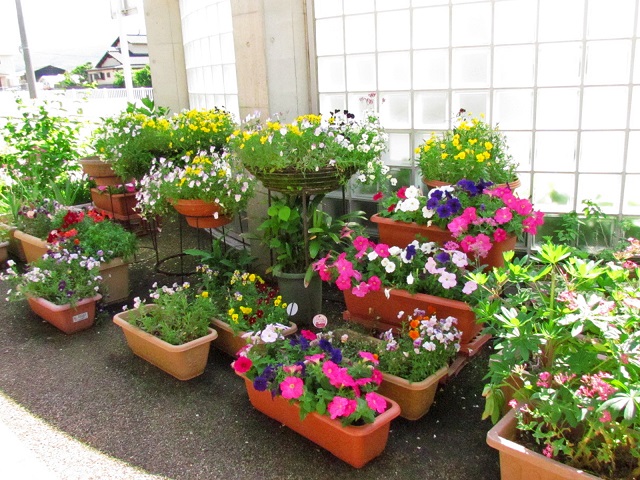 四箇田公民館入り口でひな壇状に並べられたプランターでさまざまな花が咲いている写真