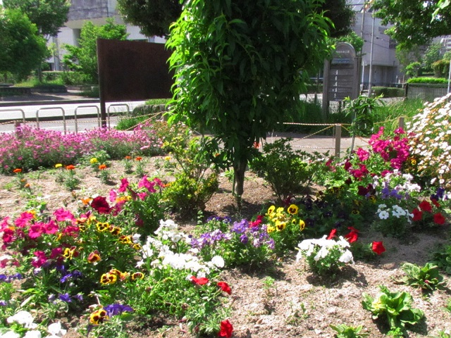 四箇中央公園の花壇でさまざまな花が咲いている写真