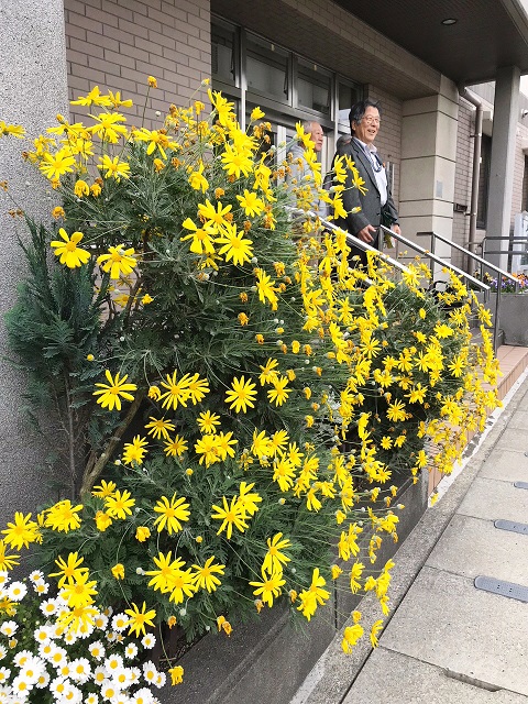原北公民館入り口の黄色い花の写真