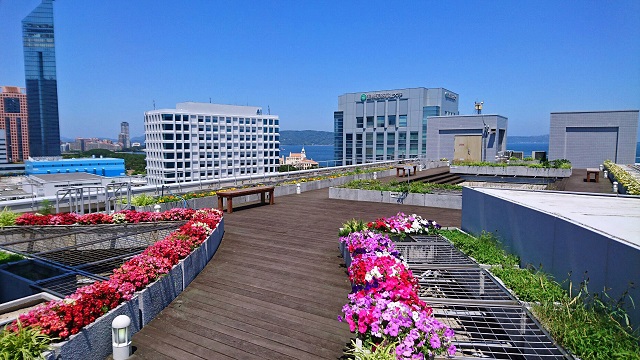 赤やピンクなど鮮やかの色の花が並び，福岡タワーなど百道浜方面が見渡せる屋上テラスの写真