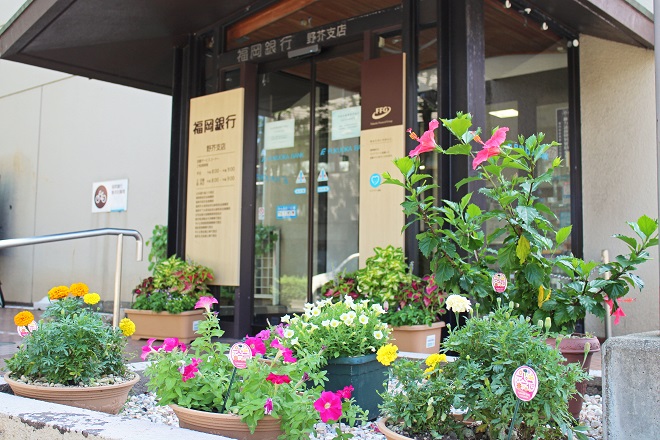 さまざまな花が咲くプランターと店舗入り口の写真
