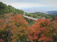 秋の吊り橋の写真