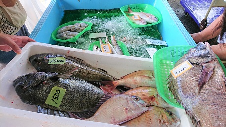 販売されている鮮魚の一例