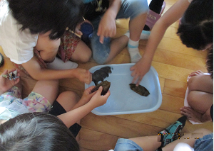 子どもたちが乾燥させたサメの卵を手で触っている様子