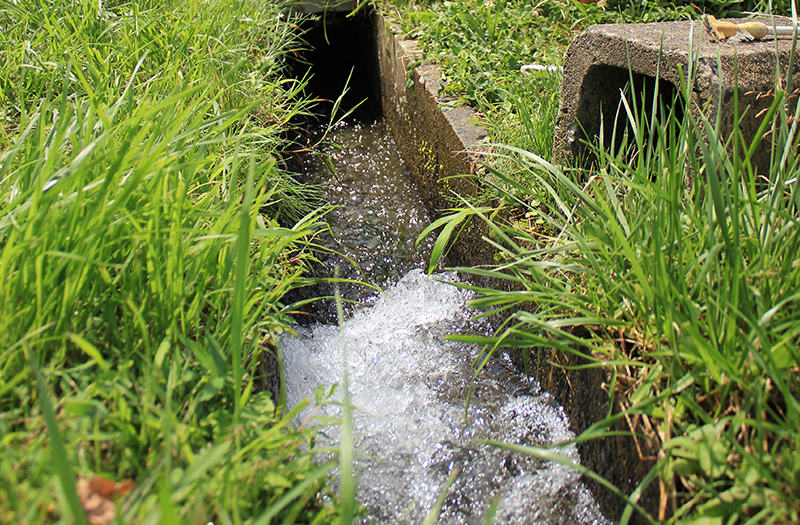 画像：脊振山系の水があふれ出ている畑の様子