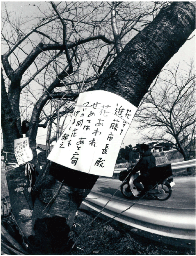 桧原桜と助命嘆願の色紙の写真
