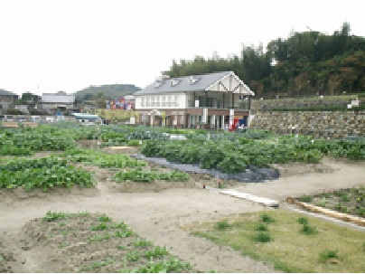 立花寺緑地リフレッシュ農園（事例写真1）