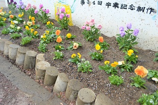 画像：別府小学校の東側花壇4