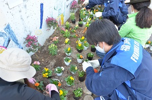 別府小学校の東側花壇の花の植え替え1