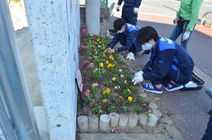 別府小学校の東側花壇の花の植え替え2
