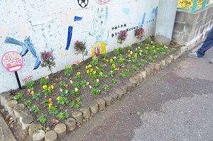 花植え後の別府小学校東側花壇