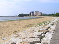 画像：養浜した砂浜と護岸