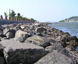 画像：自然石を使った緩やかな傾斜の護岸