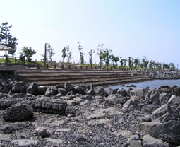 画像：海辺に下りられる階段式の護岸