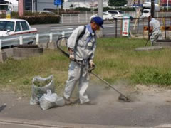 画像：港の清掃デー２