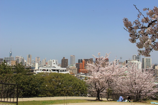 写真：祖原公園の桜