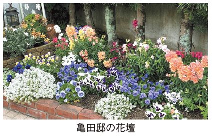 写真：亀田邸の花壇