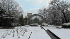 花畑園芸公園の雪景色2013年1月撮影